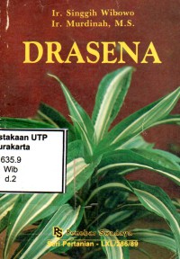 Drasena