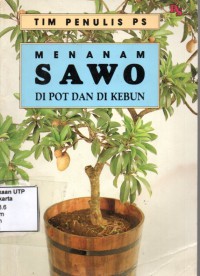 Menanam sawo di pot dan di kebun