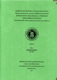 Efisiensi mix cropping tanaman kol bunga dengan tanaman bawang daun terhdap petumbuhan dan hasil tanaman kol