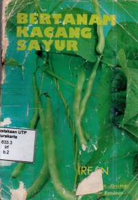 Bertanam kacang sayur