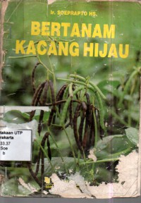 Bertanam kacang hijau