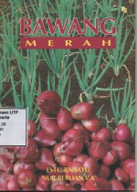 Bawang merah