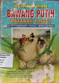 Penanaman bawang putih