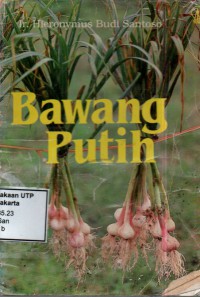 Bawang putih