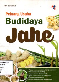 Peluang usaha budidaya jahe