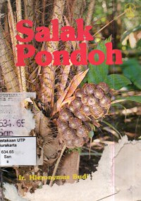 Salak pondoh