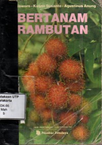 Bertanam rambutan