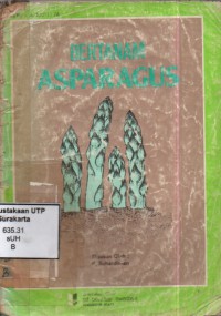 Bertanam asparagus