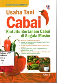 Usaha tani cabai jitu bertanam cabai  di segal musim