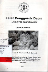 Lalat penggorok daun