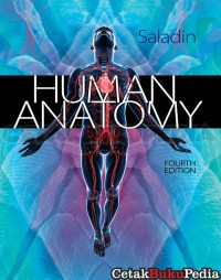 Human anatomy