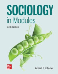 Sociology in modules