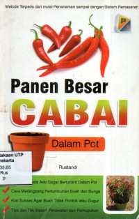 Panen besar cabai dalam pot